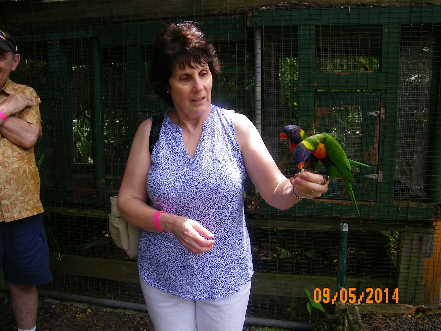 Sue has a bird too