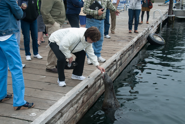 Debbie Flerlage feeding her new friend