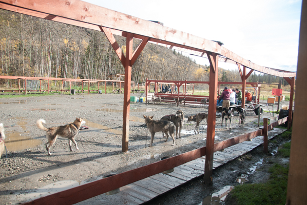 Sled Dog Ranch