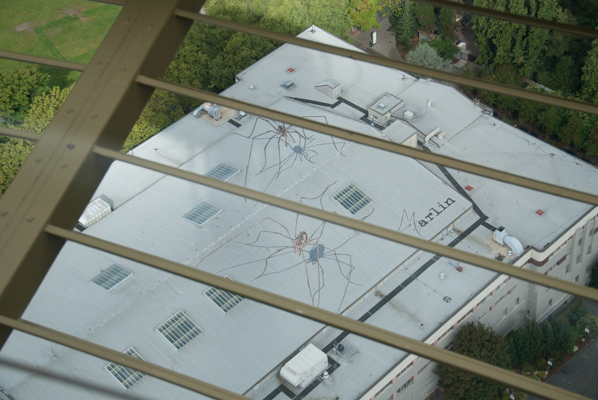 Giant spiders on the roof