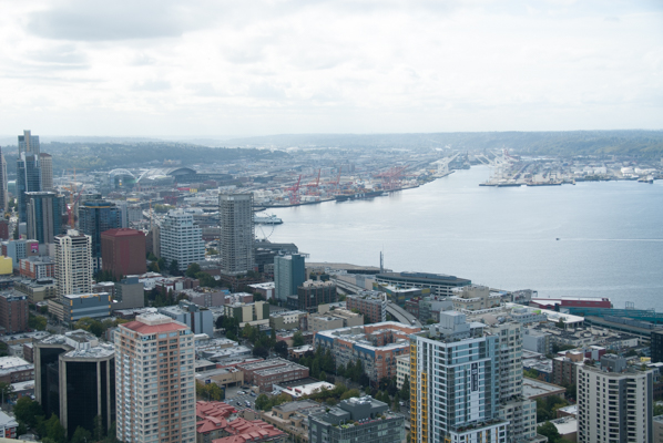 Skyline and Puget Sound