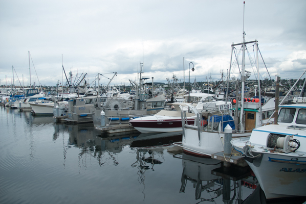 The Seattle Marina