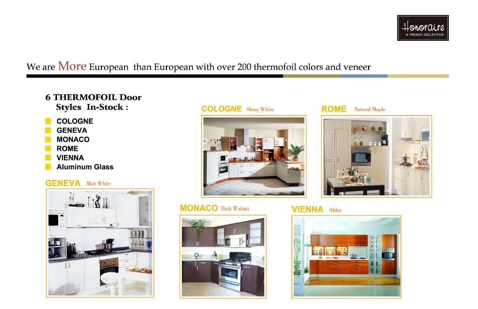 Euro Style Kitchen Cabinets 