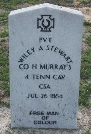 Wiley A Stewart, a Confederate soldier