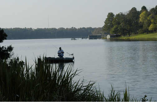 Stocked Lake